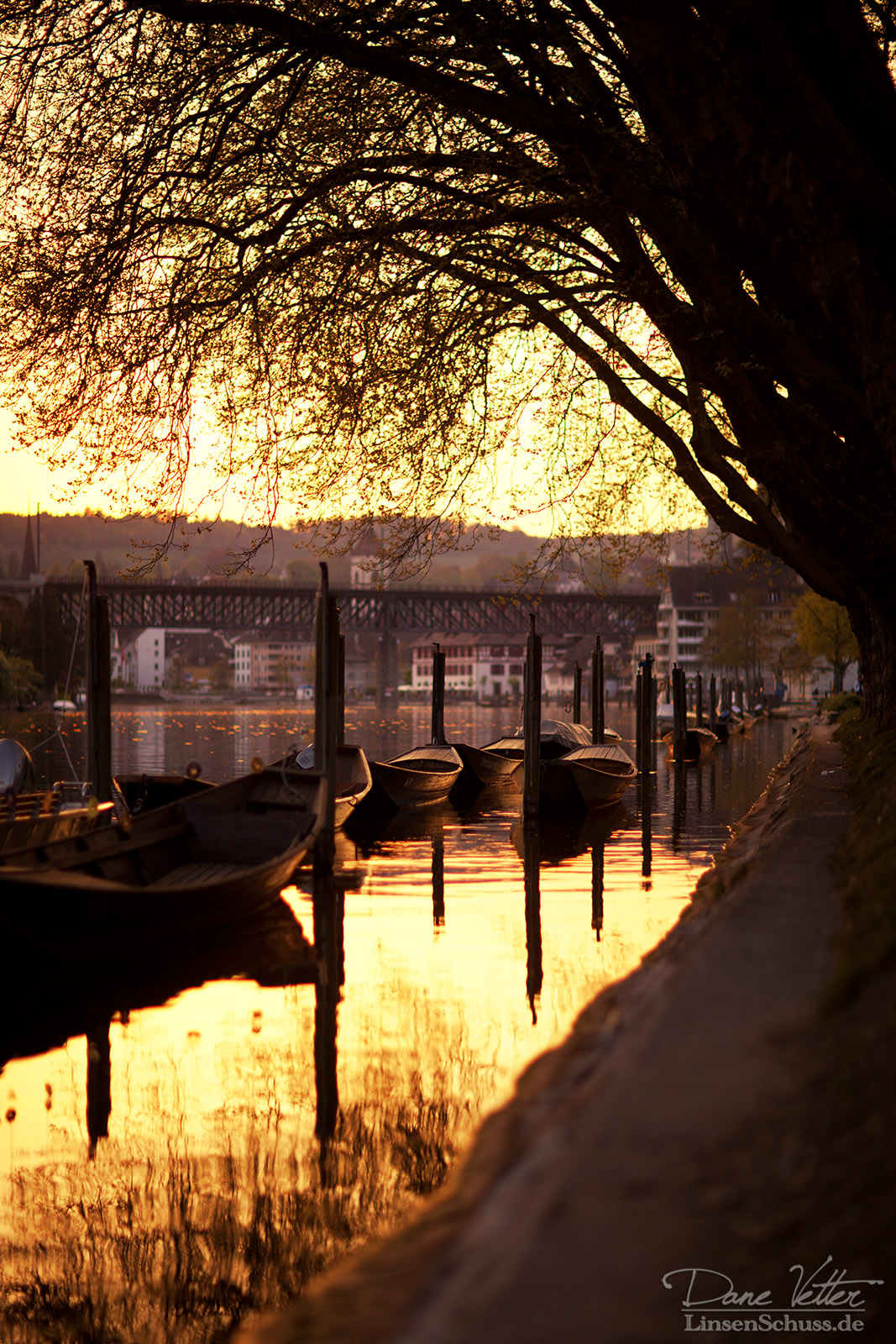 Das goldene Licht am Lindli